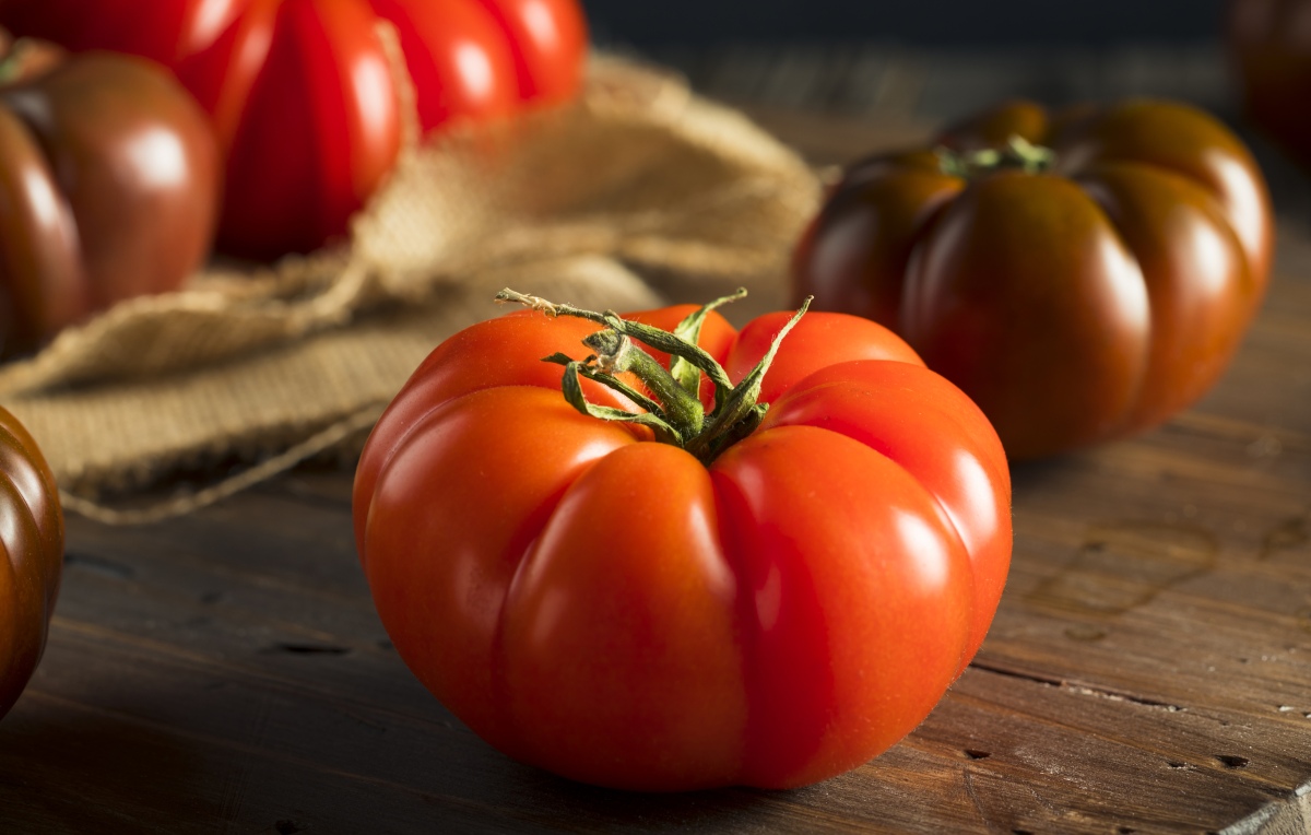 Grow Heirloom Tomatoes For Profit Expert Tips Grocycle