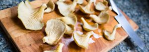 Oyster mushroom recipes 2