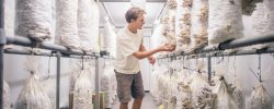 GroCycle Mushroom Farm