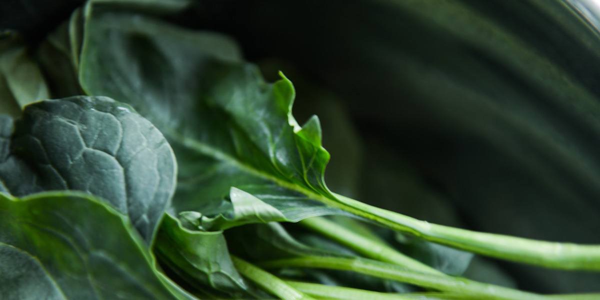 Collards growing