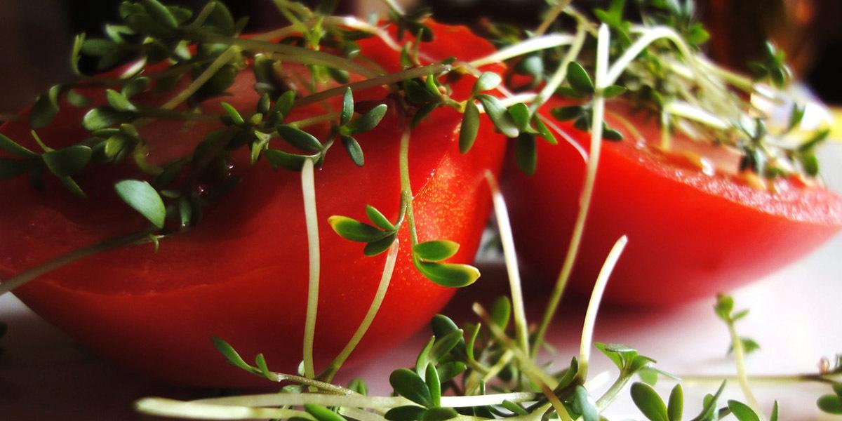 Microgreens growing