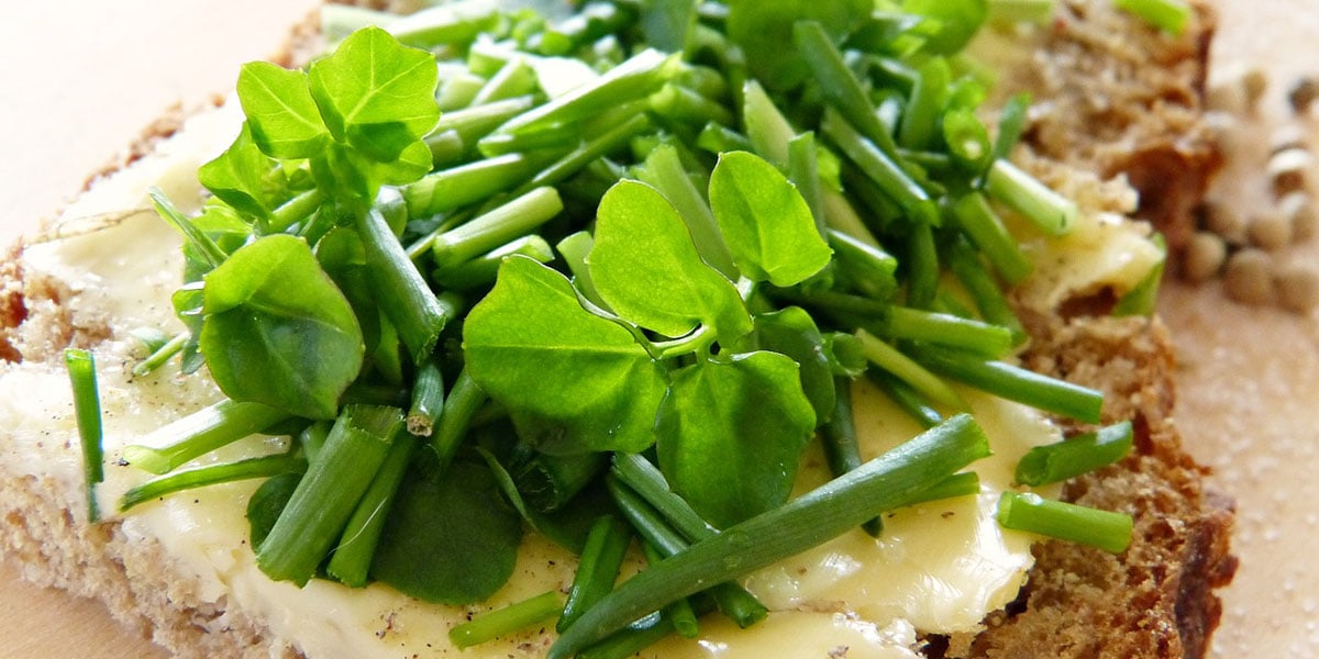 Watercress for health