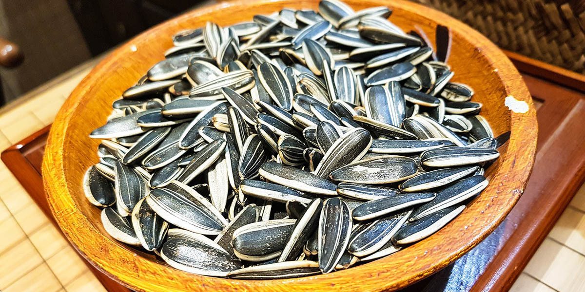 Sunflower Seeds Permaculture Microgreen Sprouting Australian Grown 20g+ 