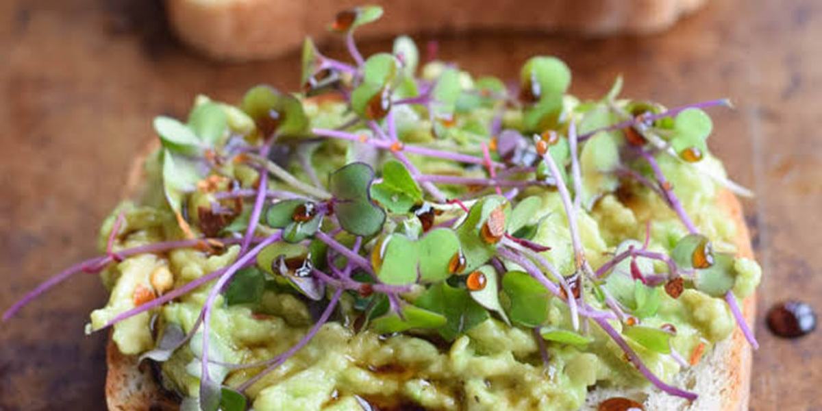 Avocado Toast With Microgreens 2