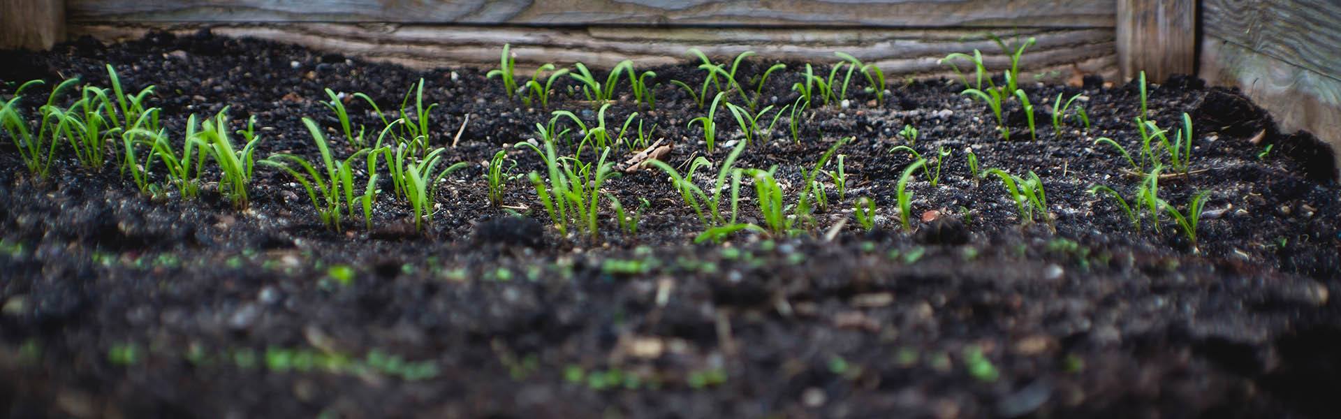 Wheatgrass,Sprouts 12 pcs Hydroponic Grow Pad Hemp Grow Mat for Microgreens 