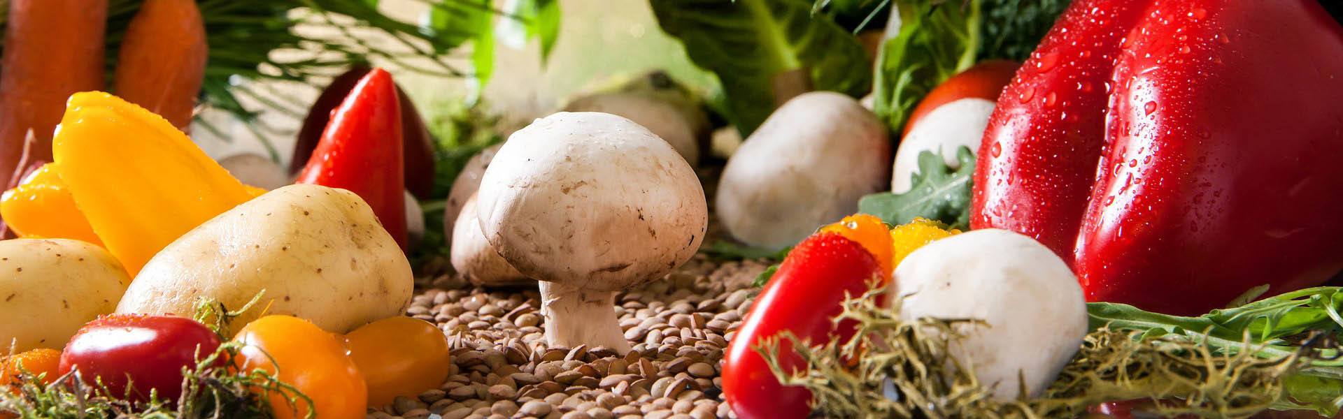 Health and Nutritional Benefits Of Mushrooms | GroCycle