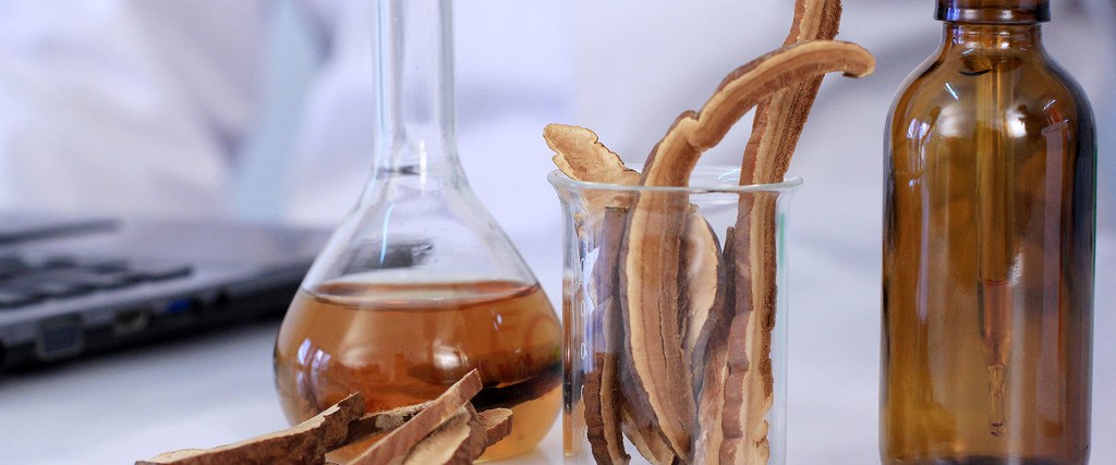 Header: Mushroom Extracts and Supplement Essential Buyers Guide