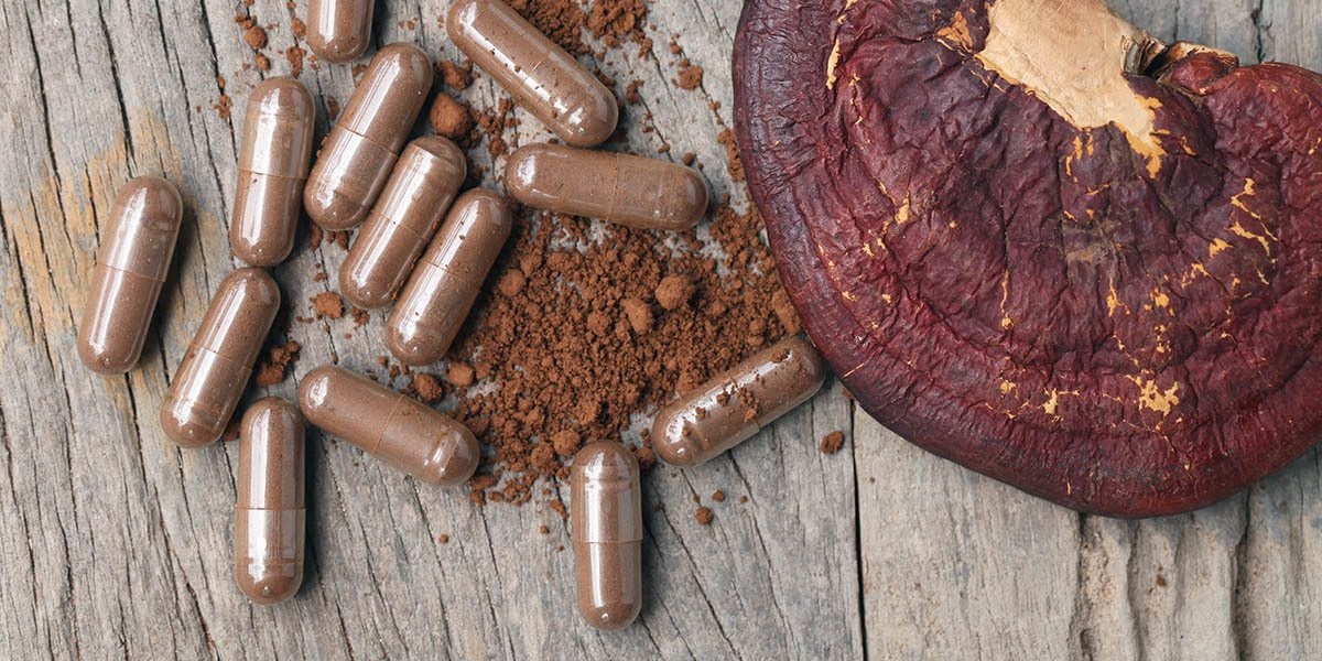 My Top 6 Mushroom Supplements