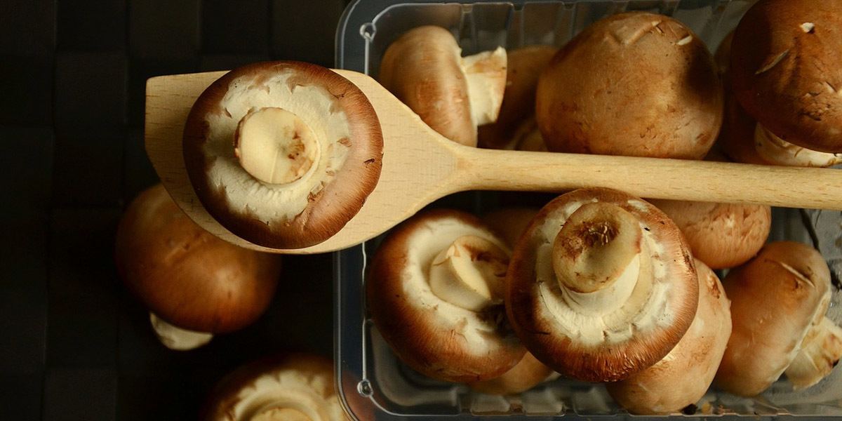 What's The Best Time Of Day To Consume Mushrooms?