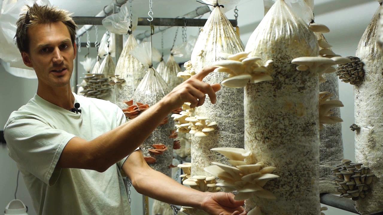 Mushroom Cultivation Courses | GroCycle