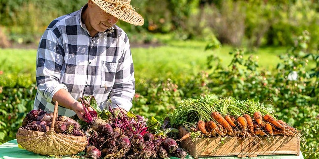 Forest Farming