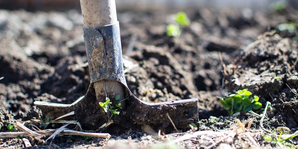 The Challenges of Agroforestry