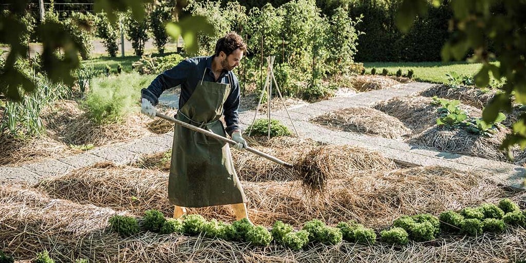 Permaculture new techniques and practices