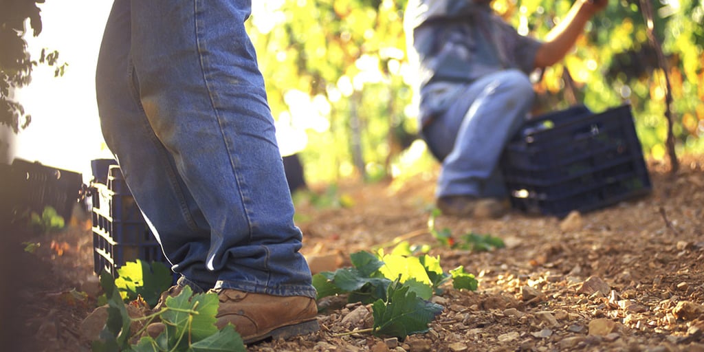 Harvesting