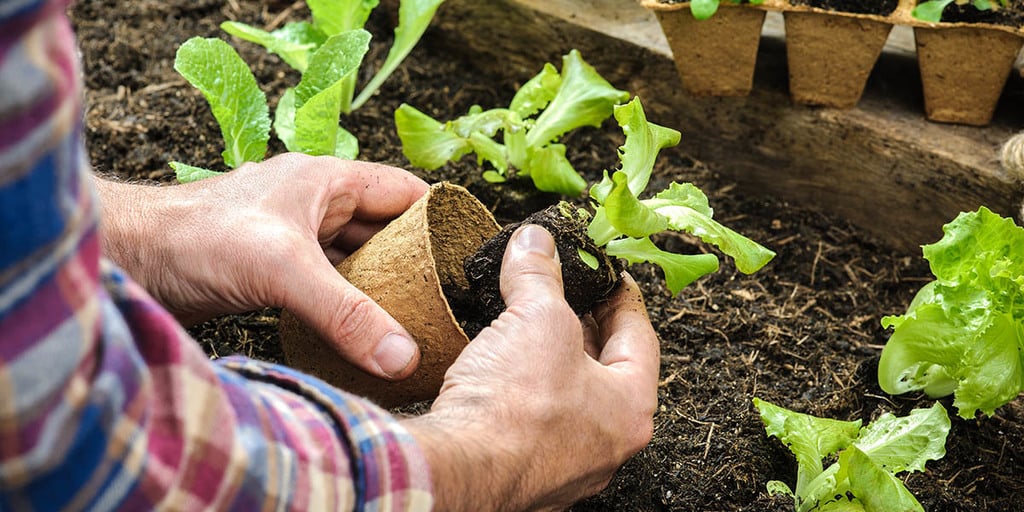 How To Start A Permaculture Garden: Beginner's Guide - GroCycle