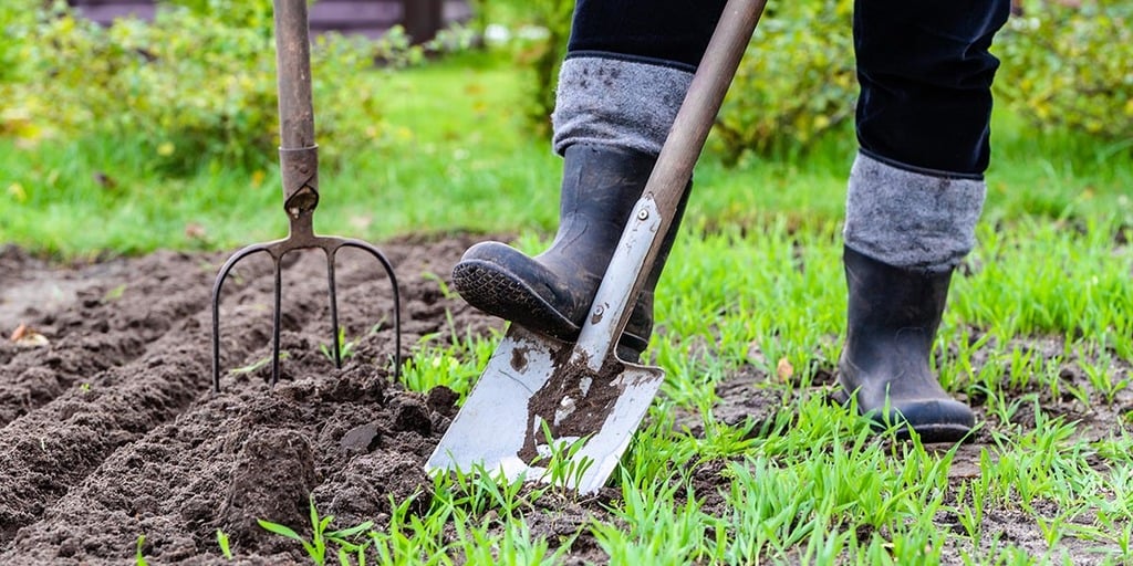 Permaculture gardening