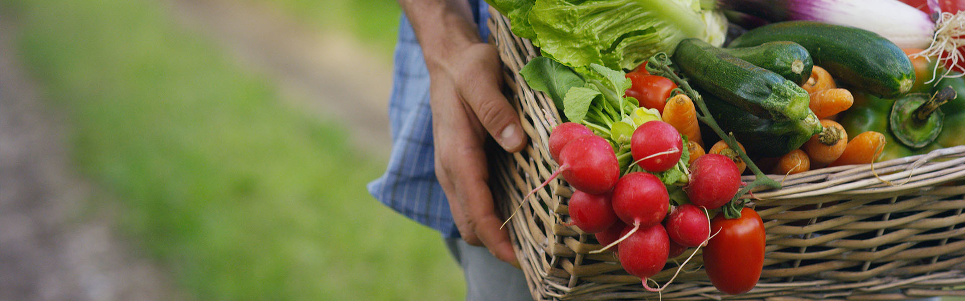 The Importance of Cleaning Your Veggies Before Eating Them - Garden Gate  Guides