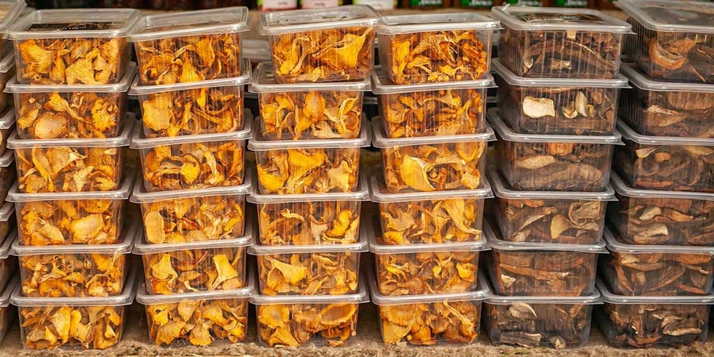 Storing Chanterelle Mushrooms