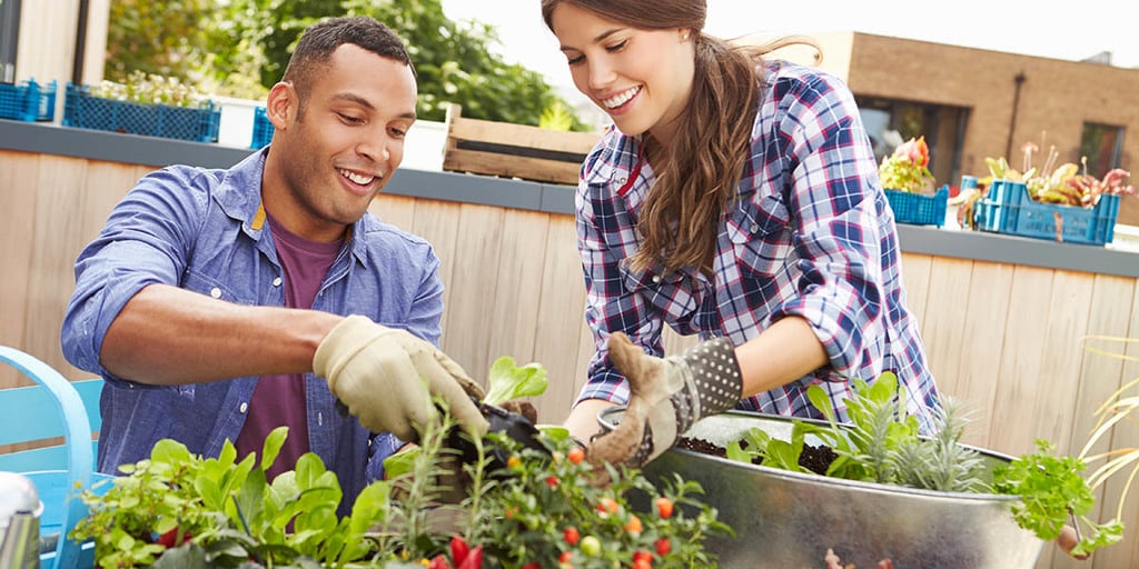 The Benefits of Urban Farming