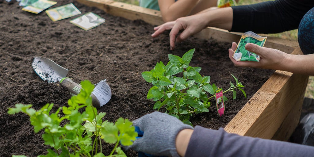 What Products Do Urban Farmers Grow