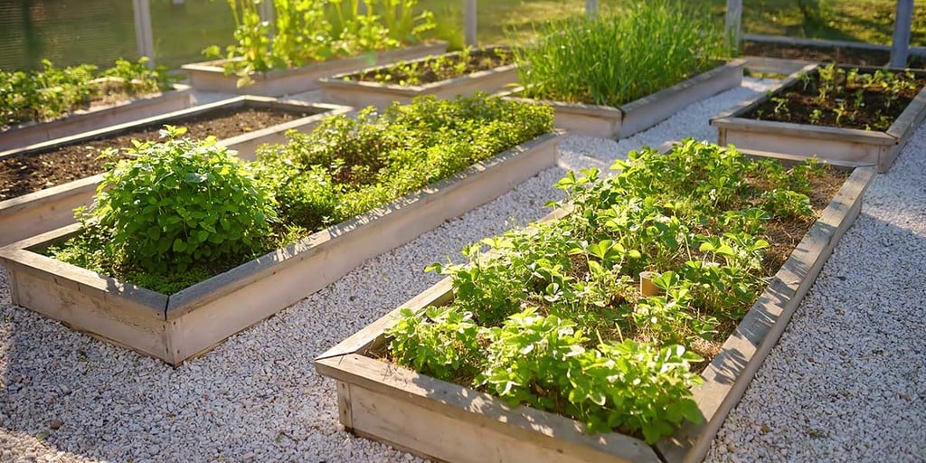 what is Urban Farming