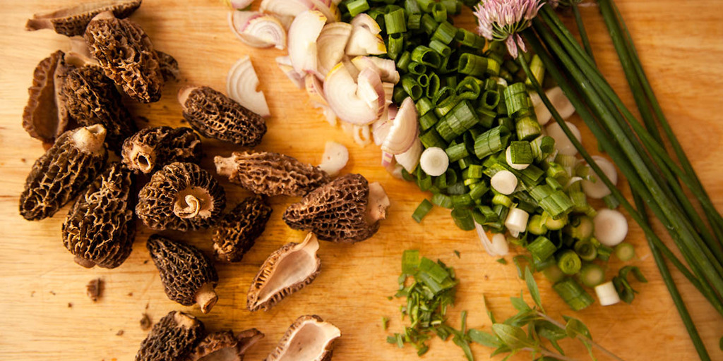 Do mushrooms have protein? Yes, they do! Learn more about the quality of their protein and how much they have compared to meat and other vegetables. 