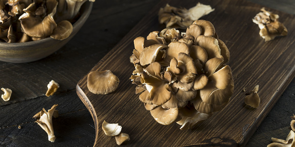 Health Benefits of Eating Maitake Mushrooms