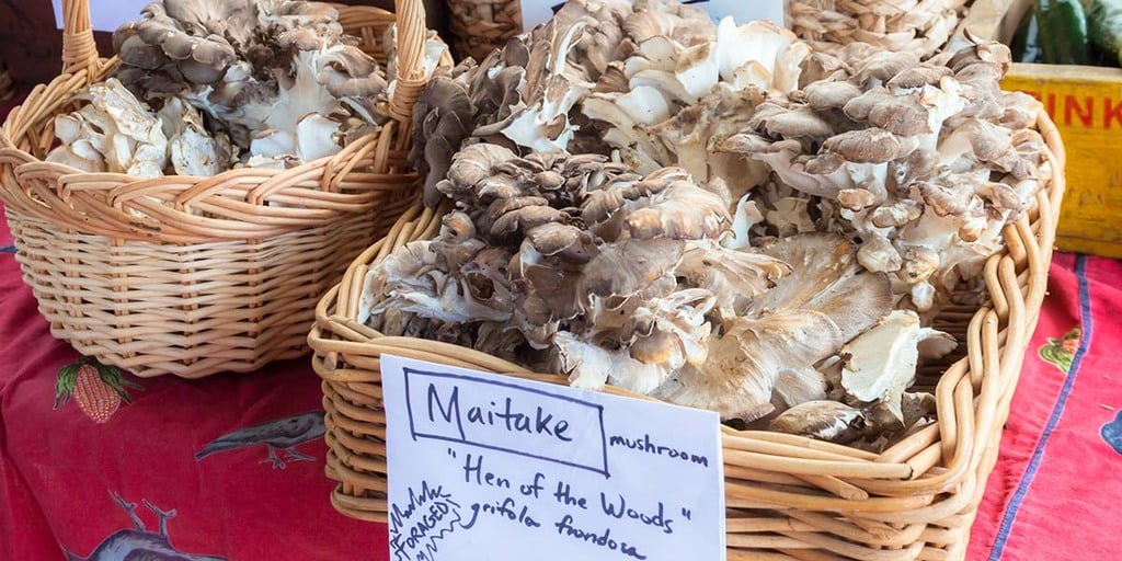 Maitake Mushrooms Expensive