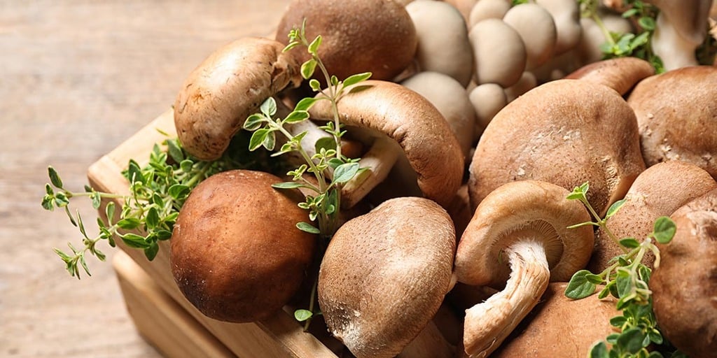 Mushrooms vs. Microgreens: Output Comparison