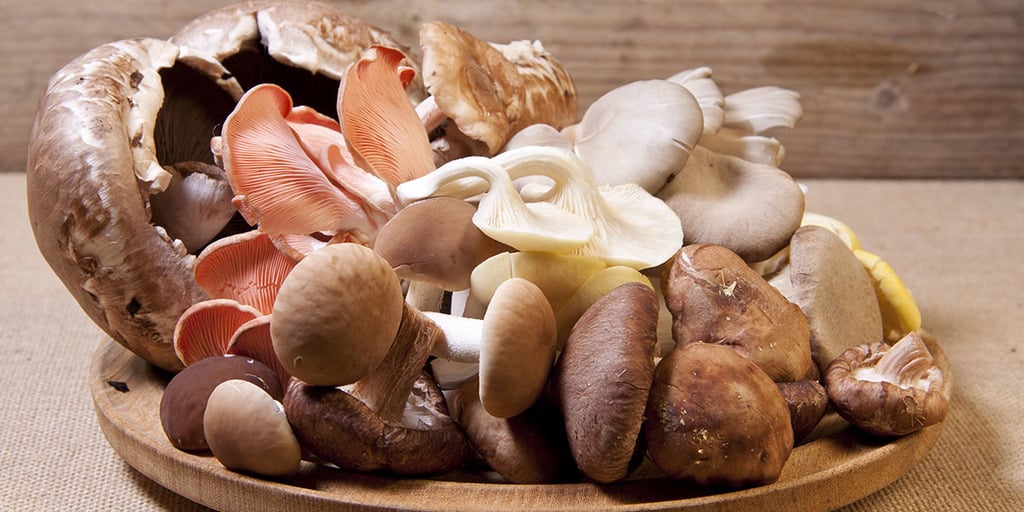 What Kinds of Edible Mushrooms Are There?