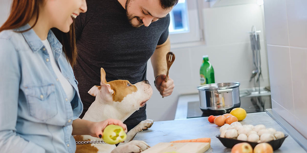 Do Mushrooms Have Health Benefits For Dogs