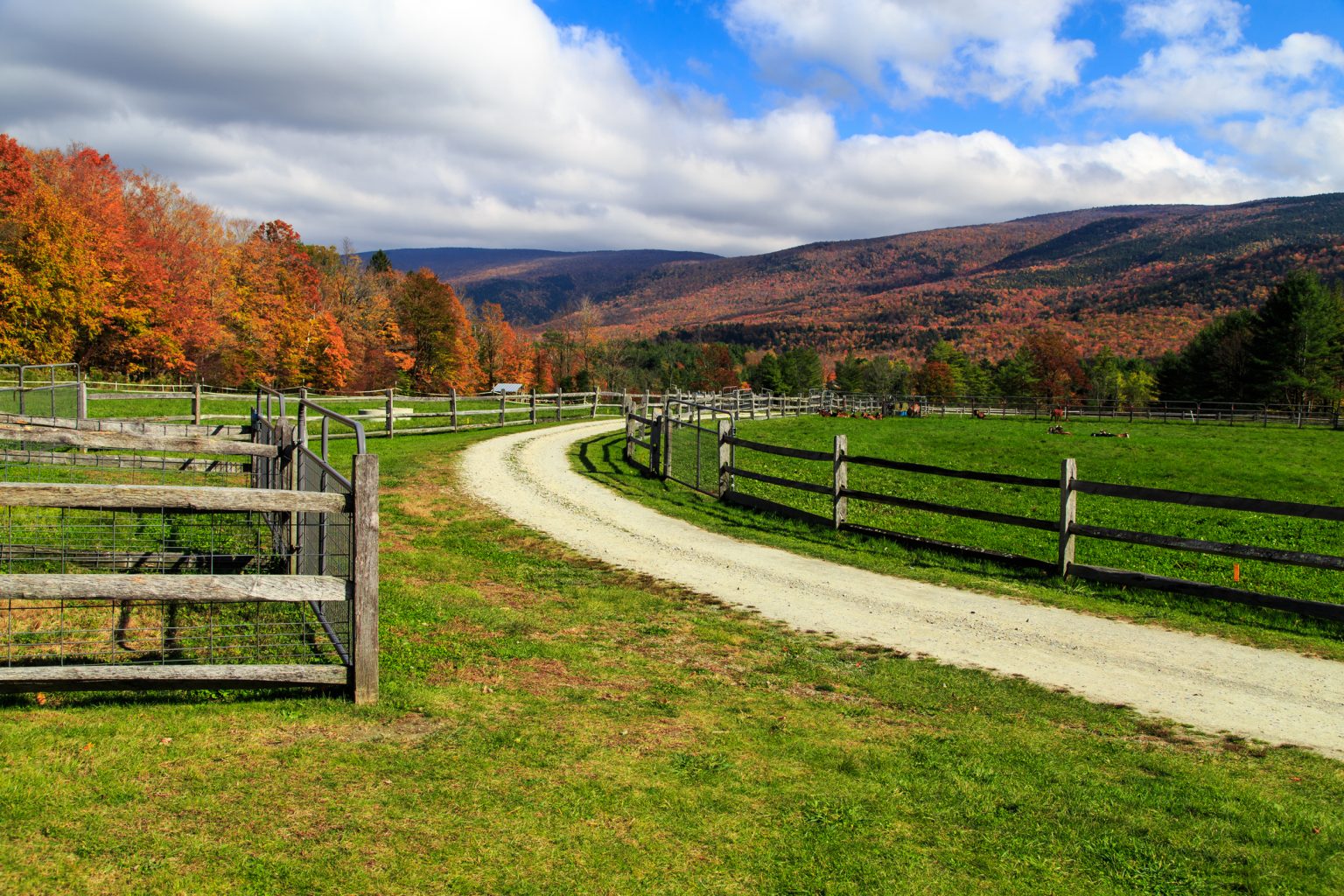 How to Create a Permaculture Homestead in 8 Steps | GroCycle