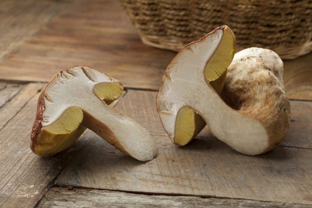 One mushroom sliced in half on a wooden table. 