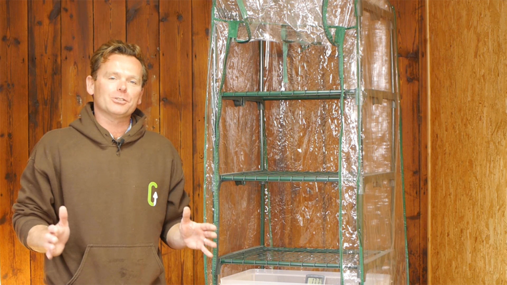 A Martha grow tent makes a useful fruiting chamber.