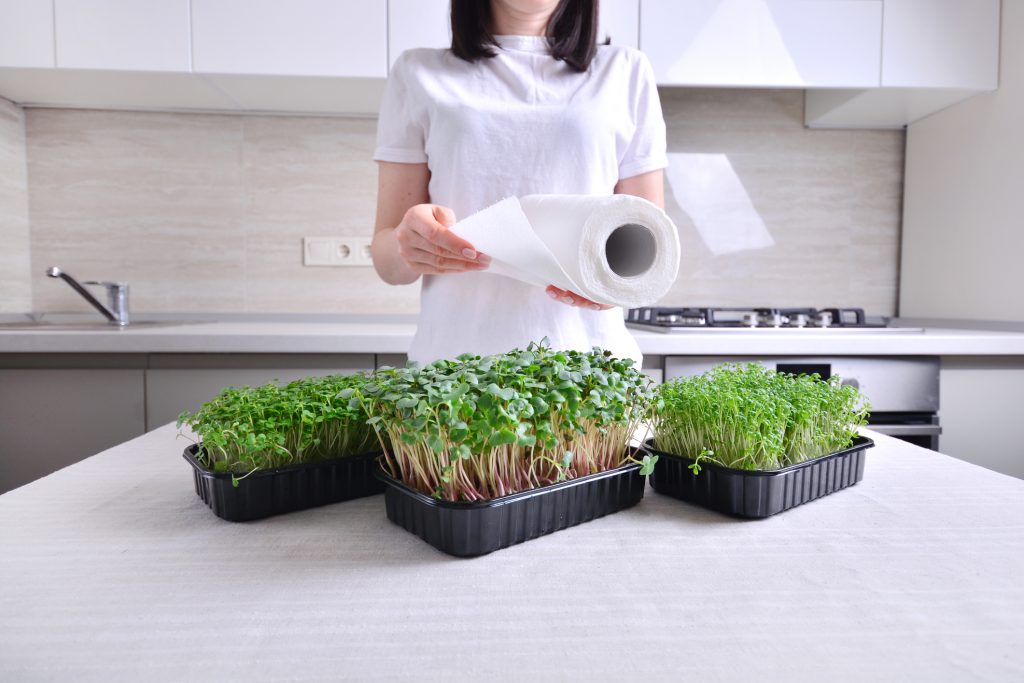 2 Trays Re-usable Self-Watering Mini Microgreens Growing Trays Grow Micro Greens Wheatgrass or Cat Grass Easy Countertop Sprouting Tray for Any Soil or Hydroponic Microgreens Growing Kit 
