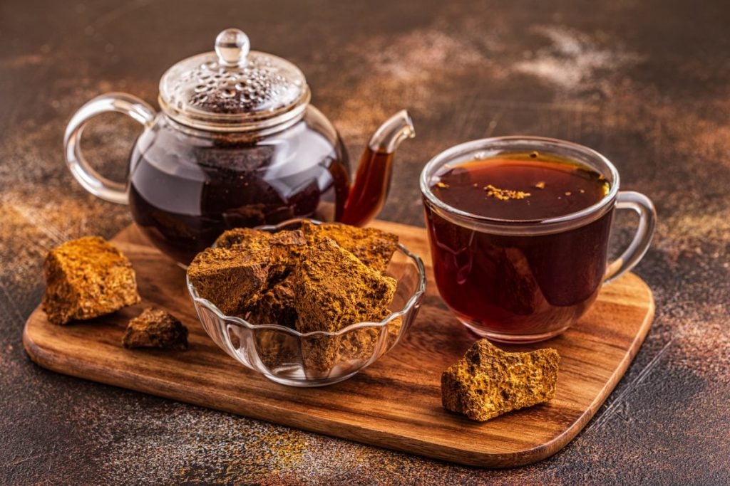 Buy Chaga Mushroom Online