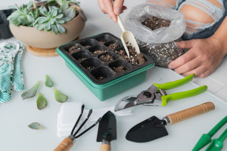 How to Propagate Plants: A Guide to Plant Cuttings - GroCycle