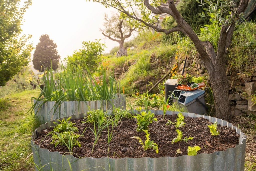 Homestead & Self-Sufficient Supplies