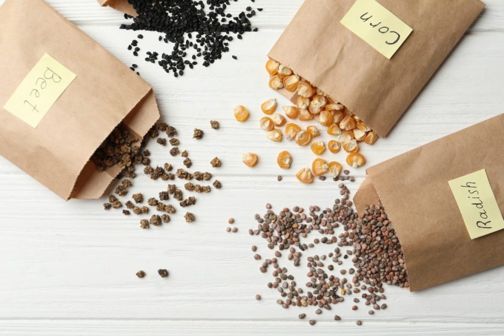 Here are some tips for collecting and saving your own seeds