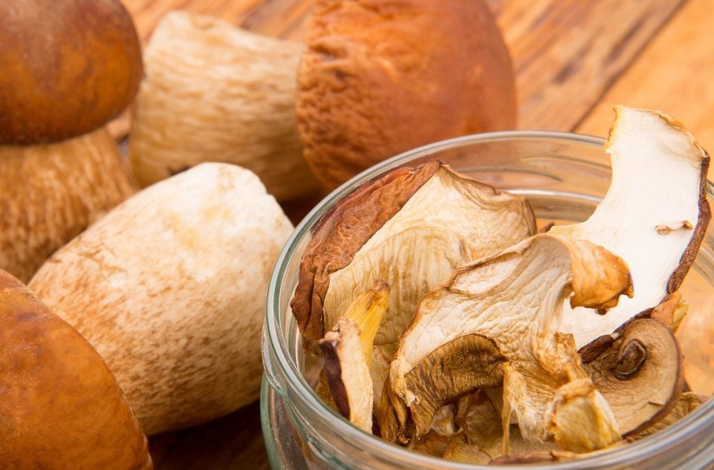 Fresh and dried porcini mushrooms