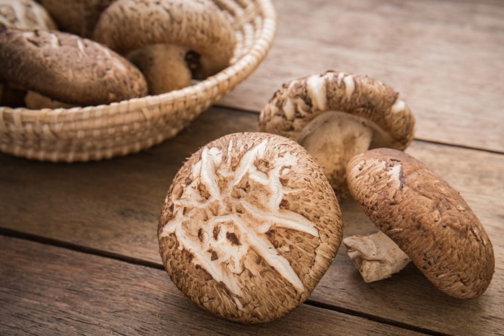 Shiitake mushrooms