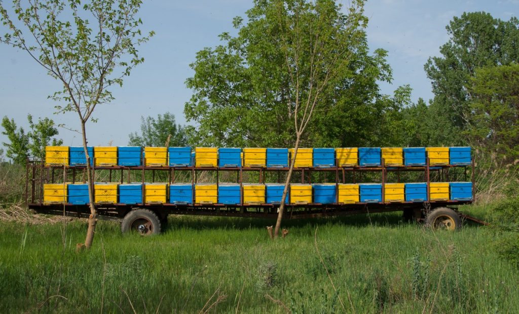 Beekeepers are struggling to keep up with farms' pollination needs