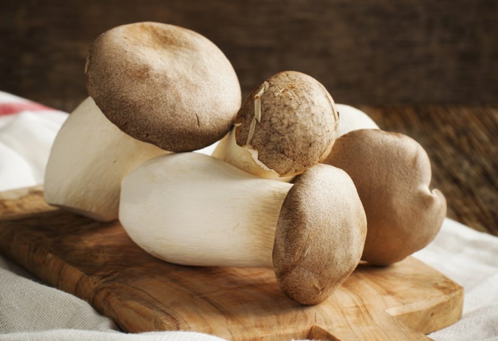 Fresh eryngii or king oyster mushrooms