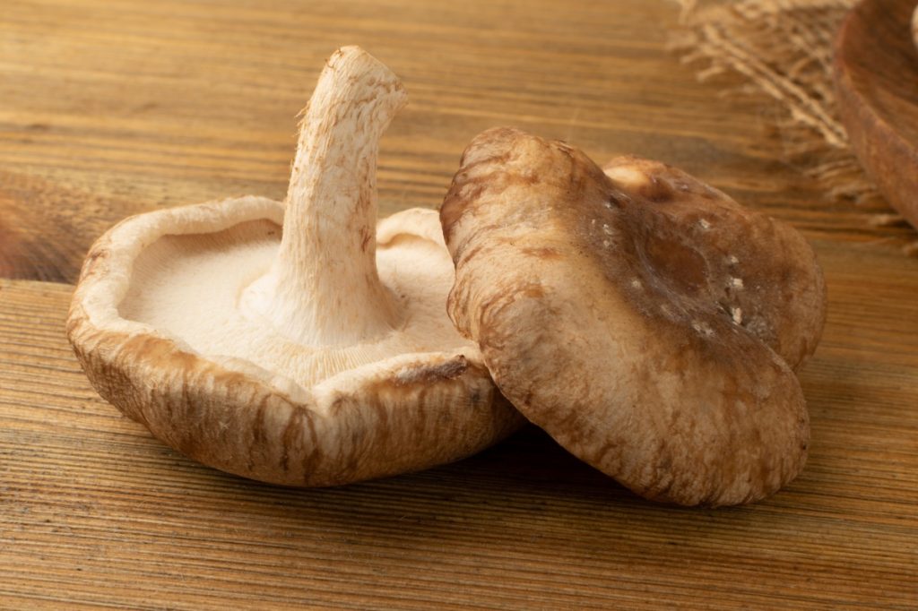 A tough, chewy shiitake mushroom stem.
