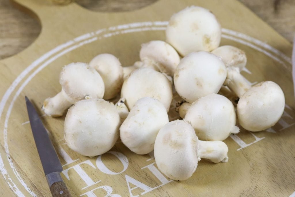 Straw Mushroom for Babies - When Can Babies Eat Straw Mushrooms - Solid  Starts