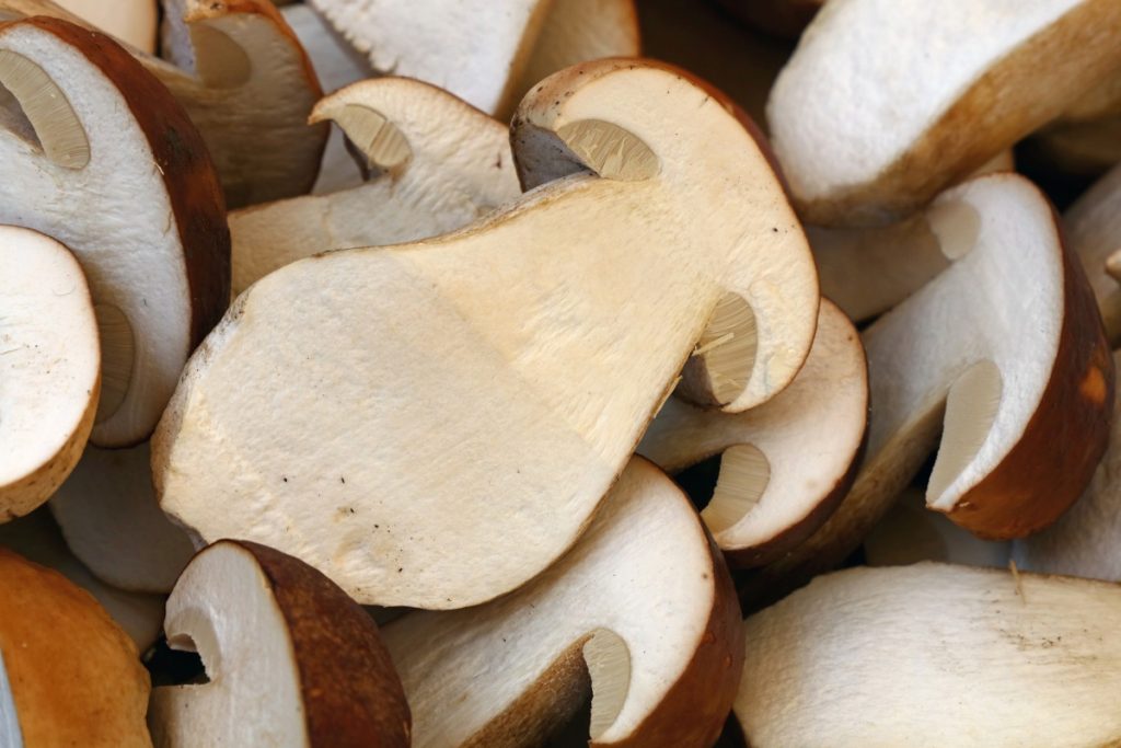 Can you eat mushroom stems? Sliced edible mushroom stems.