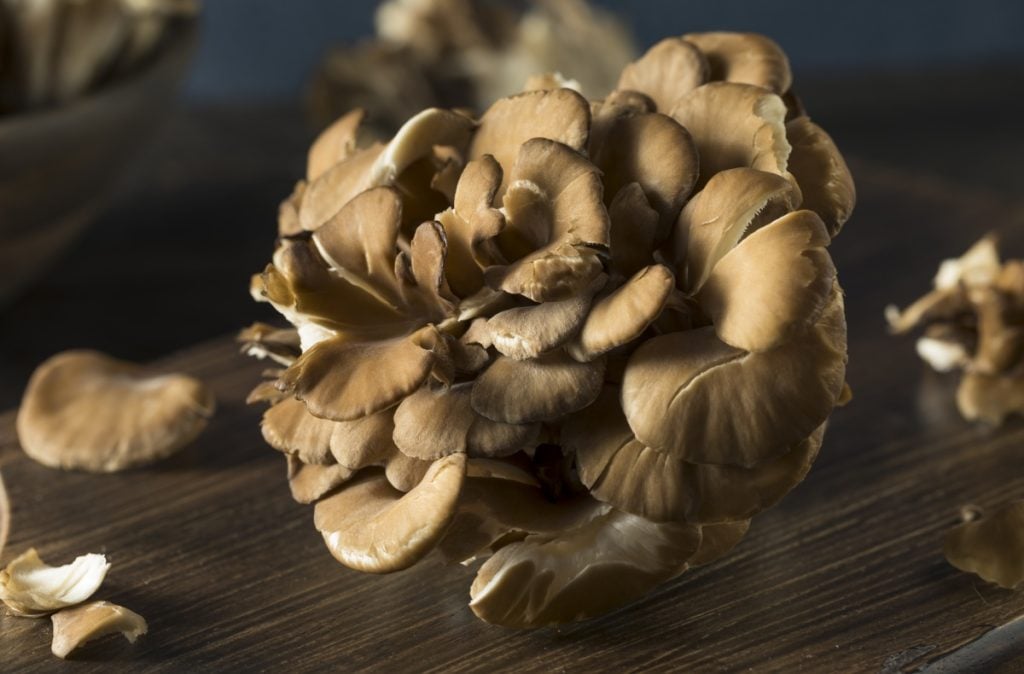 Maitake mushrooms