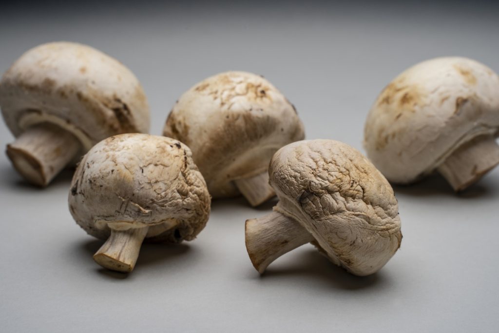 How to tell if mushrooms are bad. Wrinkled and shriveled mushrooms that have passed their prime
