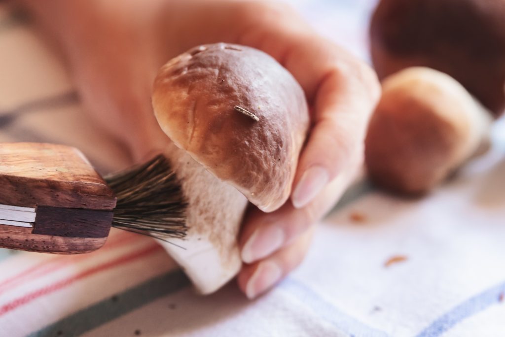 Cleaning porcini mushrooms with a brush