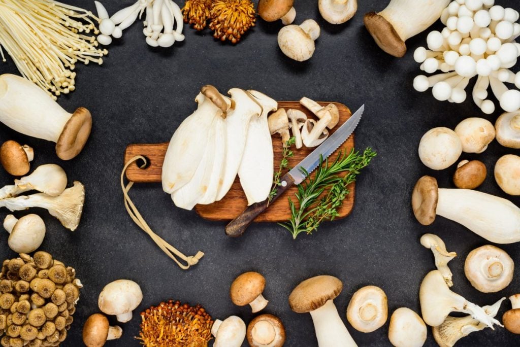 A selection of different edible mushrooms.